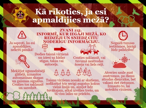 Infogramma