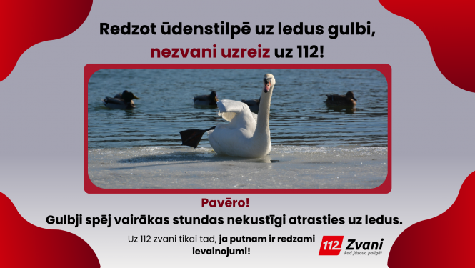 Pelēkas krāsas fons, pa vidu attēls, kurā uz ledus sēž balts gulbis. Tam fonā ūdenī peld mežapīles. Virs attēla teksts: Redzot ūdenstilpē uz ledus gulbi, nezvani uzreiz uz 112! Pavēro! Gulbji spēj vairākas stundas nekustīgi atrasties uz ledus.