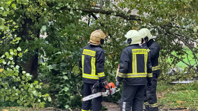 Trīs ugunsdzēsēji glābēji, tērpušies savos aizsargtērpos, sarunājas savā starpā. Viens tur rokā motorzāģi, otram motorzāģis novietots blakus uz zemes. Fonā nogāzies koks, kas aizšķērso ceļu