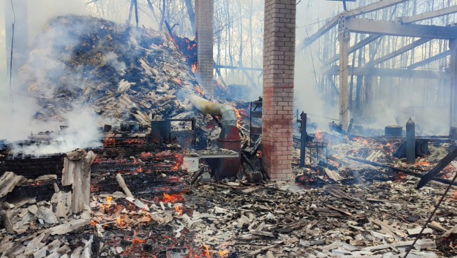 Degoša un gruzdoša telpa - palikušas ķieģeļu un metāla konstrukcijas. Fonā redzamas zilas debesis un koki