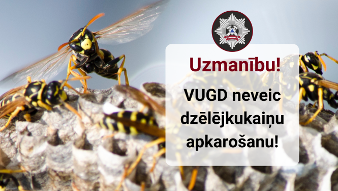 Lapsenes sēž uz pelēkas krāsas pūžņa. Blakus teksts - uzmanību! VUGD neveic dzēlējkukaiņu apkarošanu!