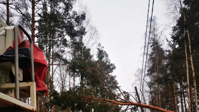 Pāri ceļam noliekusies priede. Priekšplānā redzama ugunsdzēsēju glābēju transportlīdzekļa aizmugurējā daļa. Tālumā novietota ugunsdzēsēju glābēju autocisterna un Neatliekamās medicīniskās palīdzības dienesta mikroautobuss. 