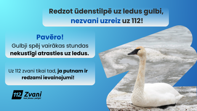 No gaiši zila un tumšāk zilu pārejošs fons. Labās malas apakšējā daļā balts gulbis, kas sēž uz ledus. Vizuāļa vidū teksts: Redzot ūdenstilpē uz ledus gulbi, nezvani uzreiz uz 112! Zemāk ieteikums putnus pavērot, kā arī informācija, kādos gadījumos zvanīt uz 112. Zem tekstiem melns 112 logo.