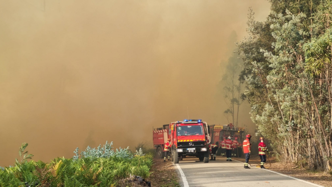 Tālumā uz ceļa novietotas vairākas ugunsdzēsēju glābēju automašīnas. Aiz tām milzīgs bēšigas krāsas dūmu mākonis. Ceļa labajā pusē koki, bet kreisajā - zāle
