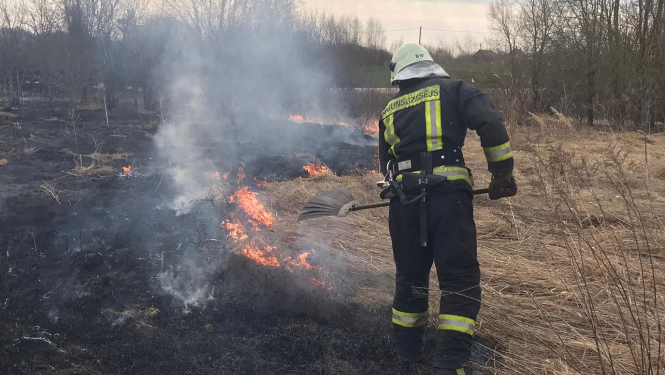 Ugunsdzēsējs glābējs ar pletni dzēš kūlas ugunsgrēku.
