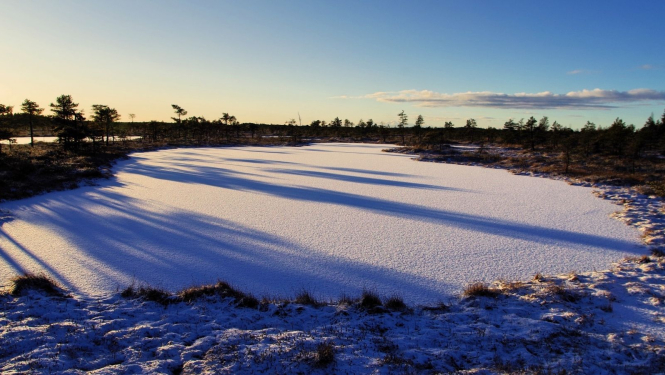 Ar sniegu apsnigusi ūdenstilpe. Tai apkārt redzami tumši koki. Debesis zilgani dzeltenas, jo riet saule.
