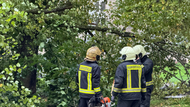 Trīs ugunsdzēsēji glābēji, tērpušies savos aizsargtērpos, sarunājas savā starpā. Viens tur rokā motorzāģi, otram motorzāģis novietots blakus uz zemes. Fonā nogāzies koks, kas aizšķērso ceļu
