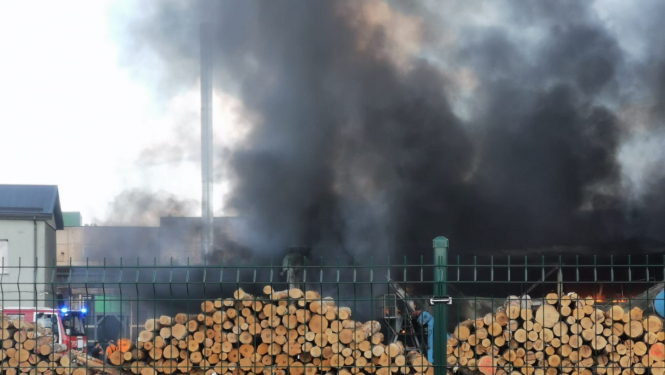 Melni dūmi, kas rodas no degošiem nozāģētiem koku stumbriem