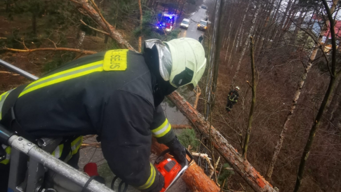 Ugunsdzēsējs glābējs, atrodoties uz autokāpnēm virs ceļa, zāģē koka stumbru.