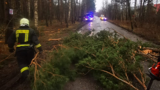Uz ceļa nokrituši lieli priedes zari, aizšķērsojot ceļu. Tiem blakus iet ugunsdzēsējs glābējs. Tālumā redzama ugunsdzēsēju glābēju autocisterna un Neatliekamās medicīniskās palīdzības dienesta transportlīdzeklis