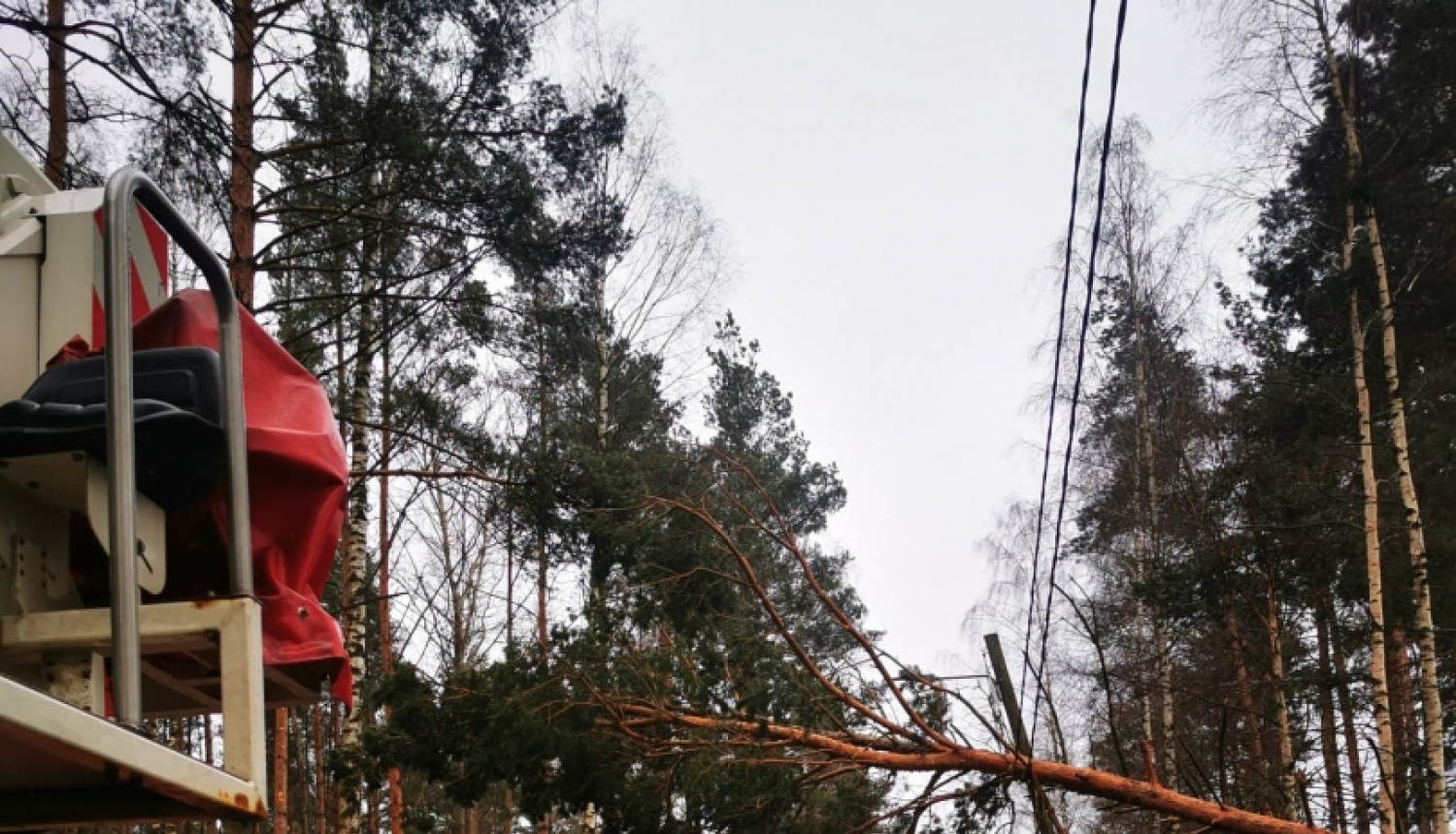 Pāri ceļam noliekusies priede. Priekšplānā redzama ugunsdzēsēju glābēju transportlīdzekļa aizmugurējā daļa. Tālumā novietota ugunsdzēsēju glābēju autocisterna un Neatliekamās medicīniskās palīdzības dienesta mikroautobuss. 