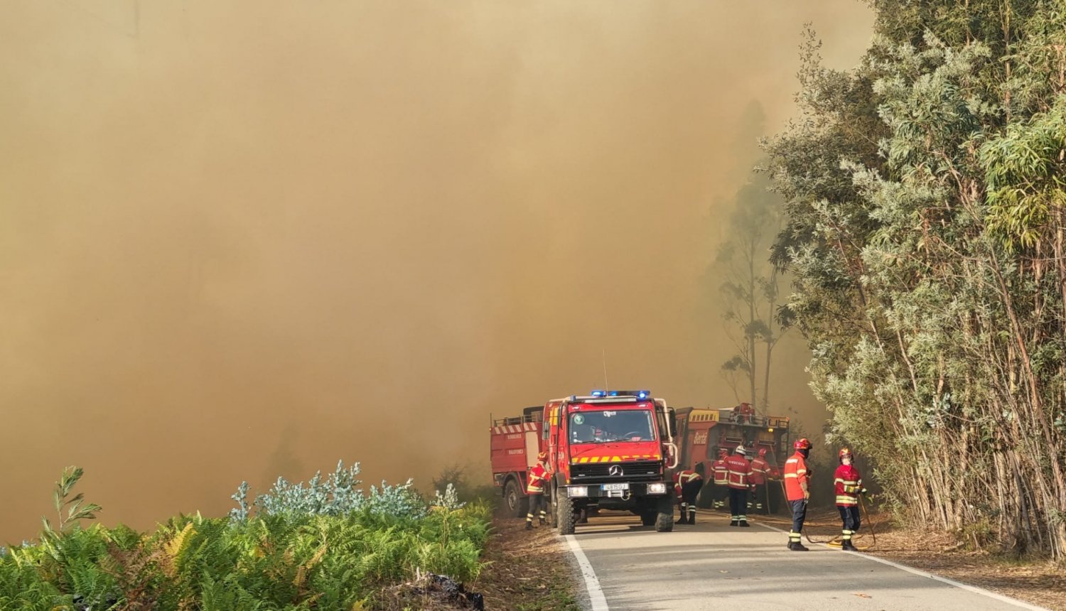 Tālumā uz ceļa novietotas vairākas ugunsdzēsēju glābēju automašīnas. Aiz tām milzīgs bēšigas krāsas dūmu mākonis. Ceļa labajā pusē koki, bet kreisajā - zāle