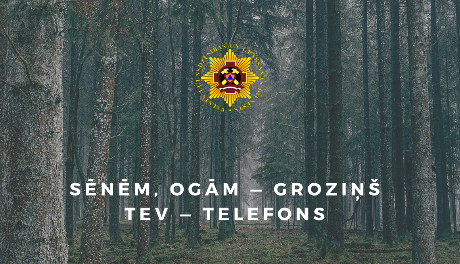 Vizuālais materiāls ar tekstu "Sēnēm, ogām - groziņš, Tev - telefons"
