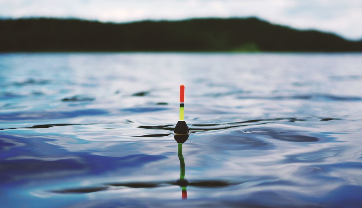 Ūdenī peld melns pludiņš. Pludiņa antenas apakšējā daļa ir spilgti dzeltena, bet augšējā daļa spilgti sarkana. Tālumā redzams zaļš paugurs.
