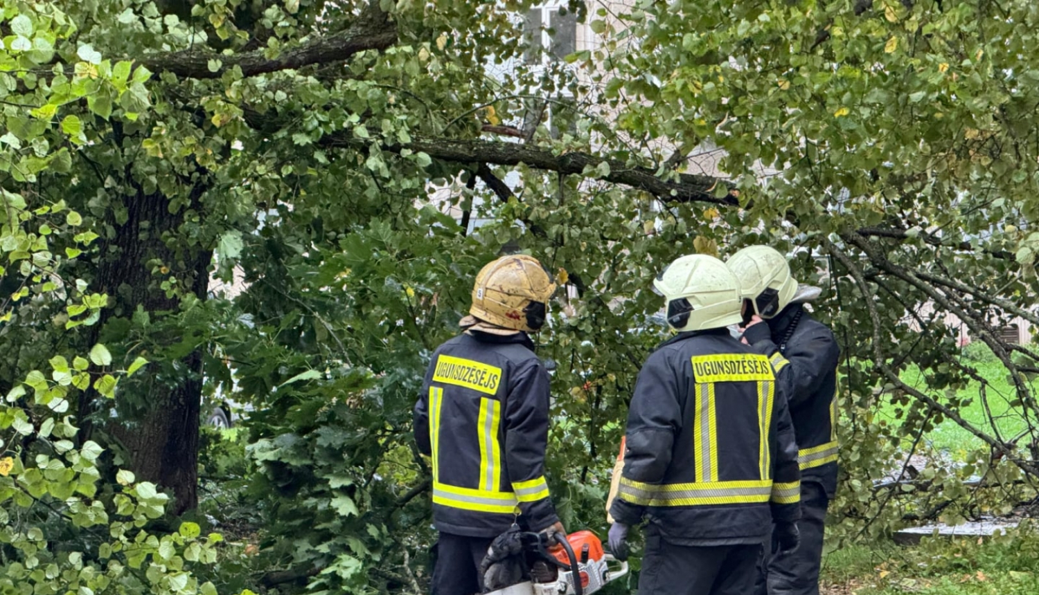 Trīs ugunsdzēsēji glābēji, tērpušies savos aizsargtērpos, sarunājas savā starpā. Viens tur rokā motorzāģi, otram motorzāģis novietots blakus uz zemes. Fonā nogāzies koks, kas aizšķērso ceļu