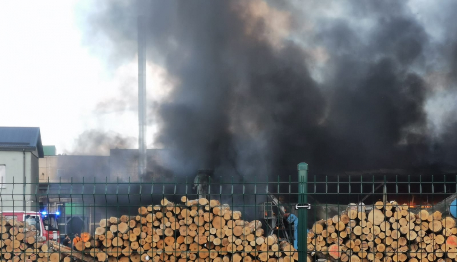 Melni dūmi, kas rodas no degošiem nozāģētiem koku stumbriem