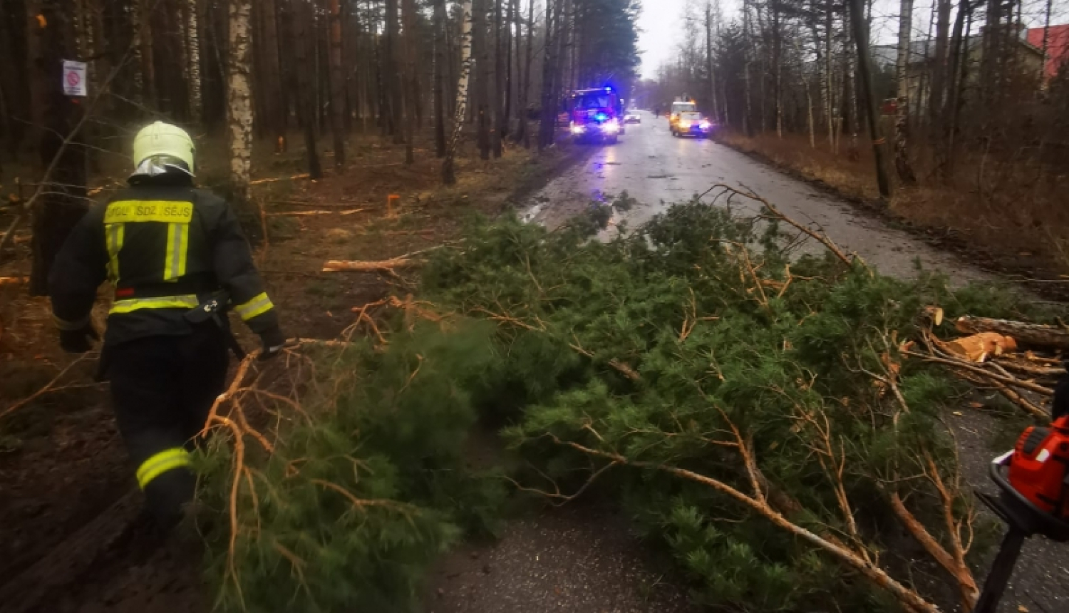 Uz ceļa nokrituši lieli priedes zari, aizšķērsojot ceļu. Tiem blakus iet ugunsdzēsējs glābējs. Tālumā redzama ugunsdzēsēju glābēju autocisterna un Neatliekamās medicīniskās palīdzības dienesta transportlīdzeklis