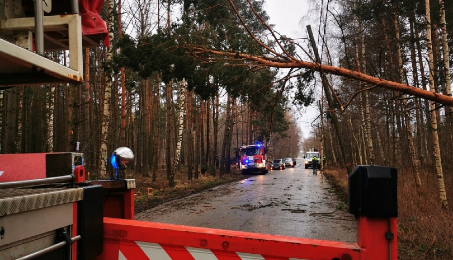 Pāri ceļam noliekusies priede. Priekšplānā redzama ugunsdzēsēju glābēju transportlīdzekļa aizmugurējā daļa. Tālumā novietota ugunsdzēsēju glābēju autocisterna un Neatliekamās medicīniskās palīdzības dienesta mikroautobuss. 