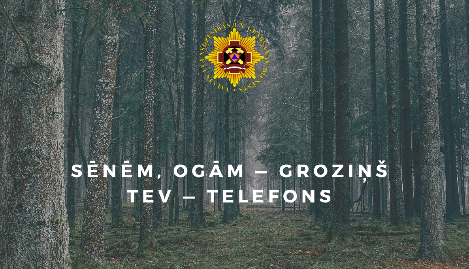 Vizuālais materiāls ar tekstu "Sēnēm, ogām - groziņš, Tev - telefons"