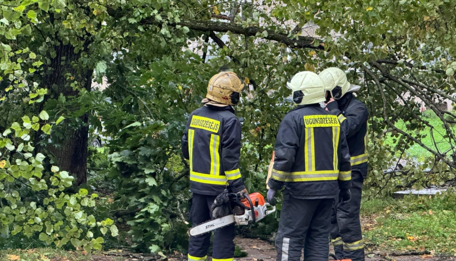 Trīs ugunsdzēsēji glābēji, tērpušies savos aizsargtērpos, sarunājas savā starpā. Viens tur rokā motorzāģi, otram motorzāģis novietots blakus uz zemes. Fonā nogāzies koks, kas aizšķērso ceļu