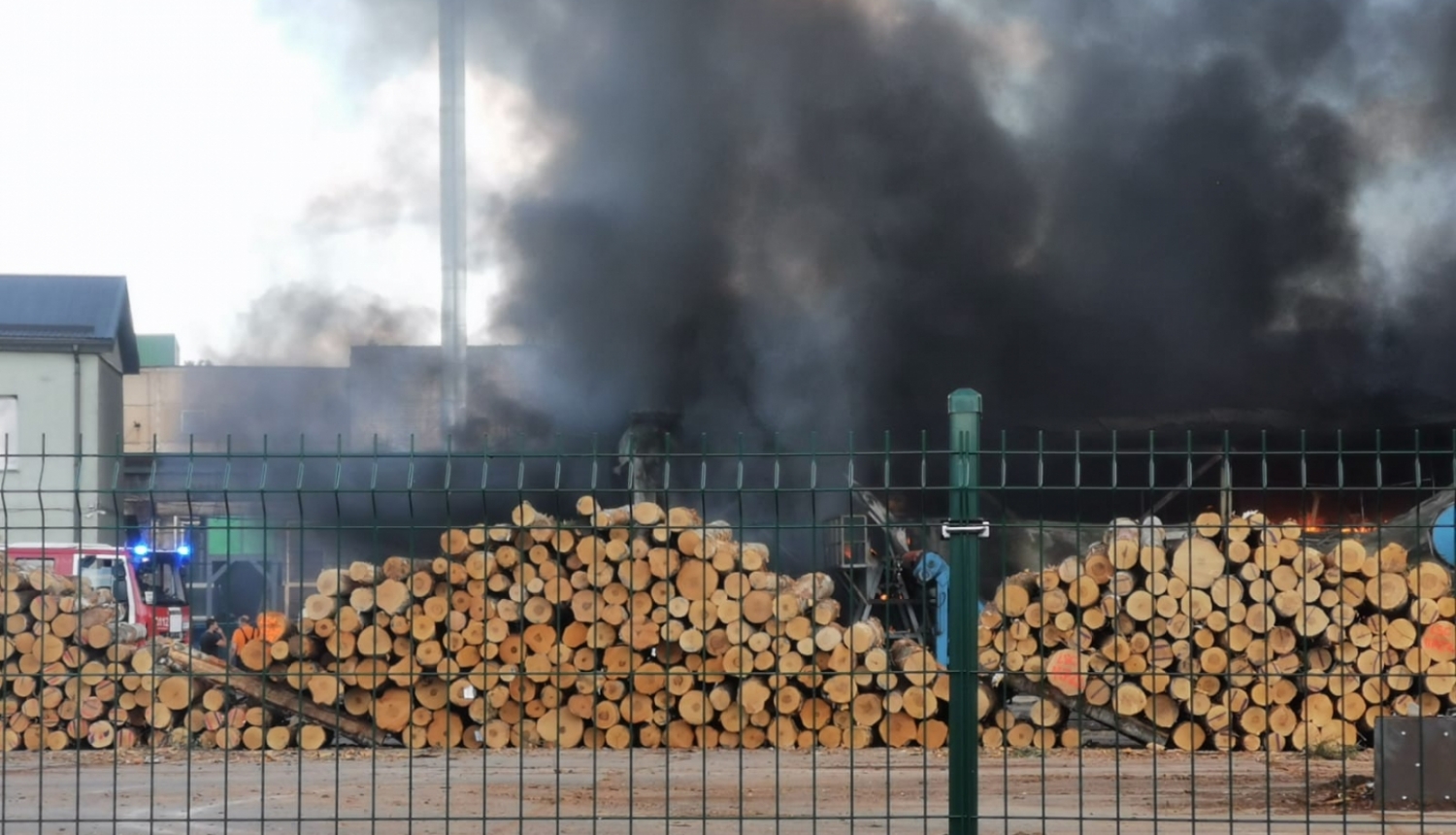 Melni dūmi, kas rodas no degošiem nozāģētiem koku stumbriem